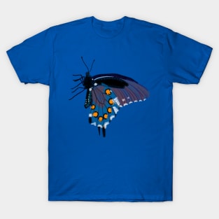 Spirograph Collage Blue and orange butterfly T-Shirt